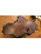 Exceptional Redwood burl Coffee Table